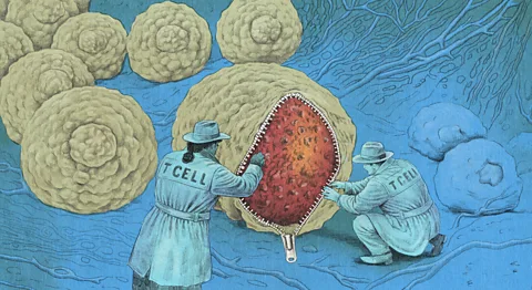 New Immunotherapy Eliminates Cancer Without Surgery - Image 3