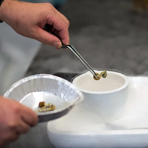 Magic Mushrooms Help Smokers Quit in New Study - Image 5