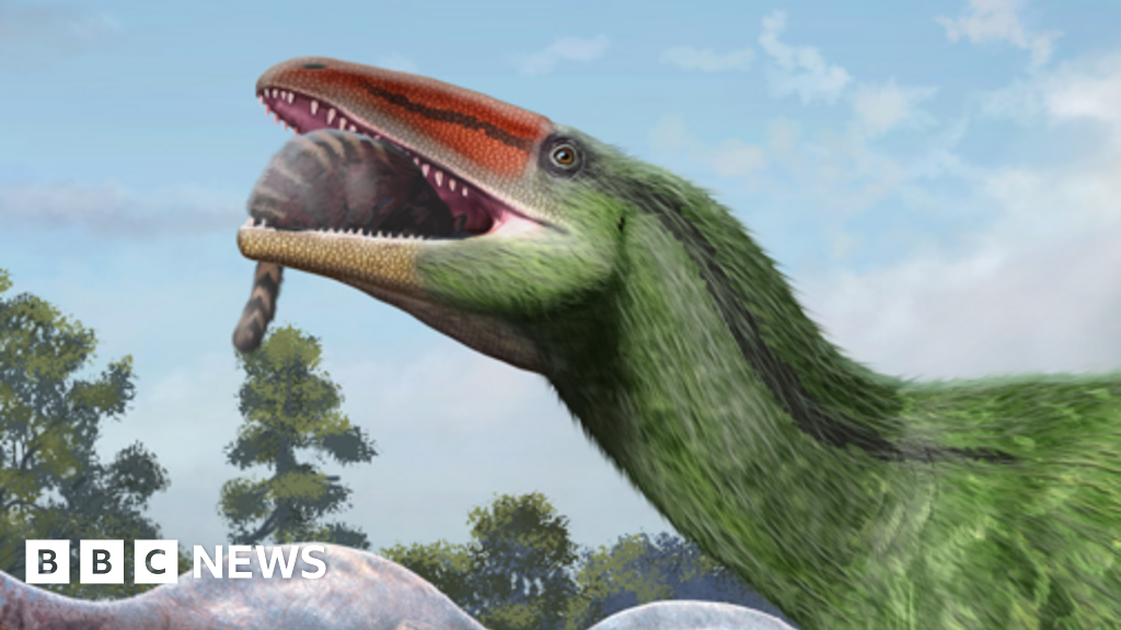 New Dinosaur Species Found After 100 Years in Museum Drawer
