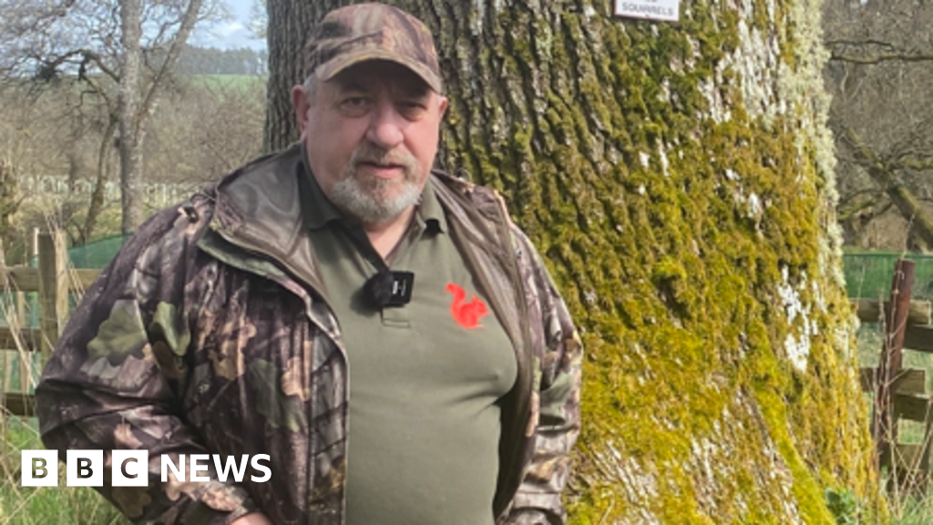 Remote Volunteers Save England's Red Squirrels via CCTV