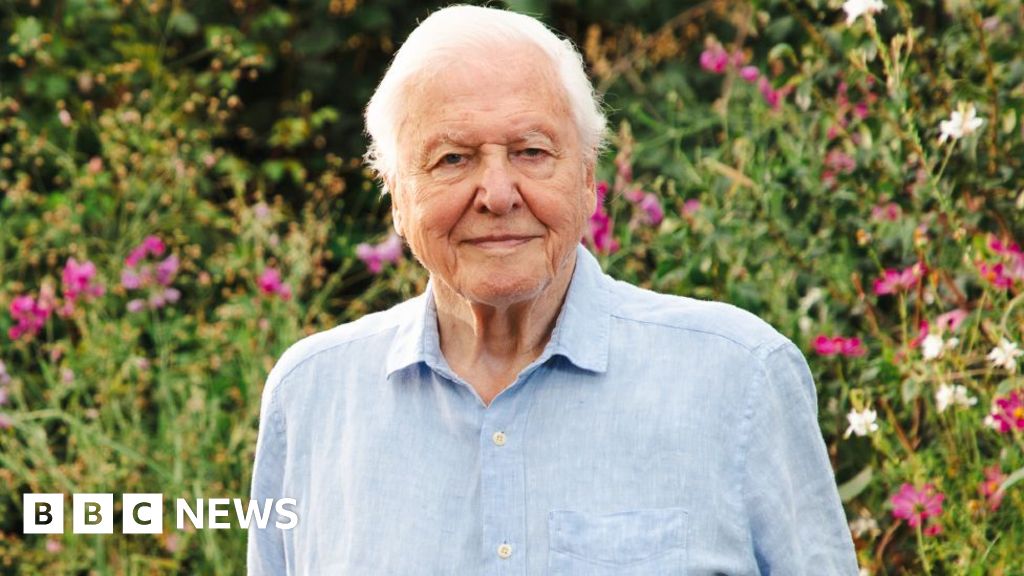 David Attenborough Turns 100 With Curiosity Intact