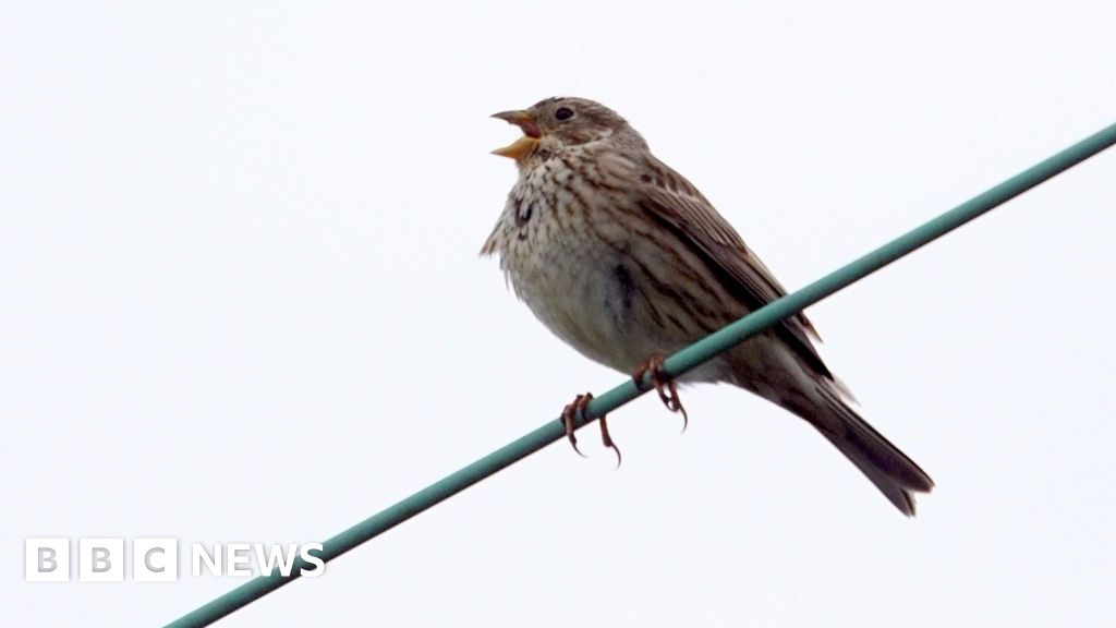 5,242 Species Thrive at English Estate Despite Drought