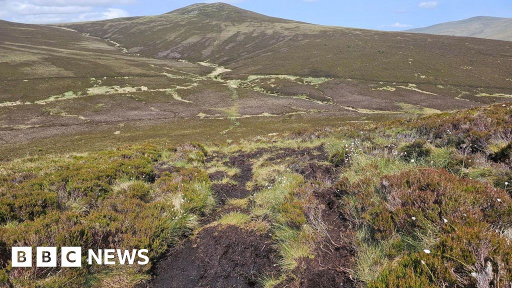 Lake District Restores 1,077 Acres of Peatland