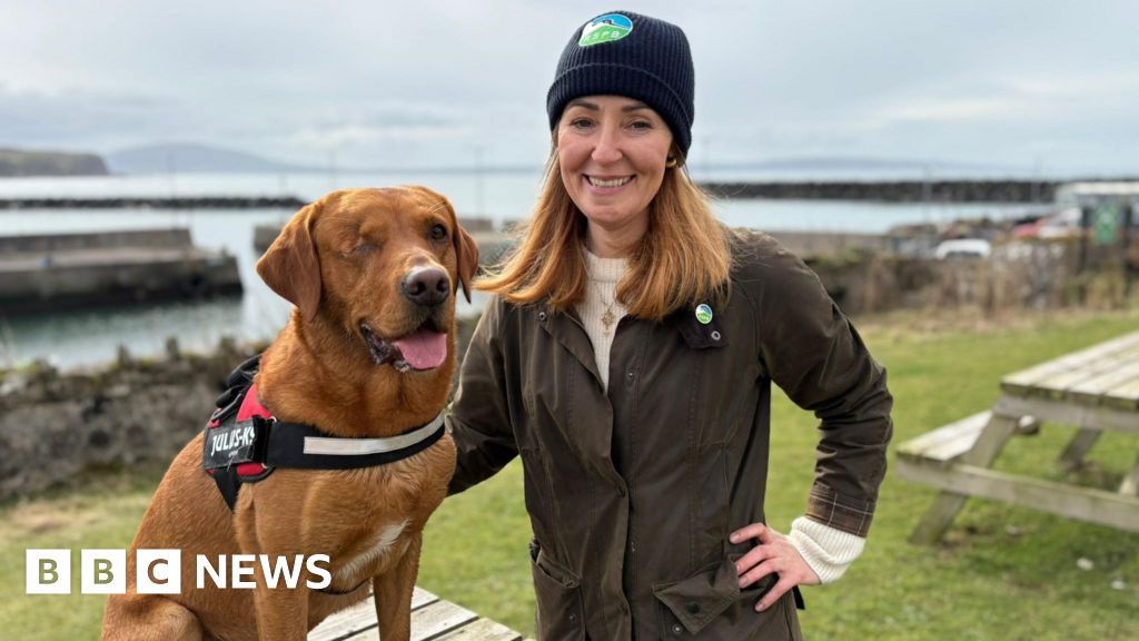 Rathlin Island Eradicates Ferrets, Saving Seabirds