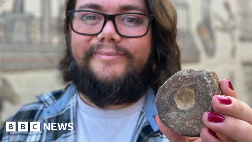 Romans Collected Fossils 1,900 Years Before Paleontology