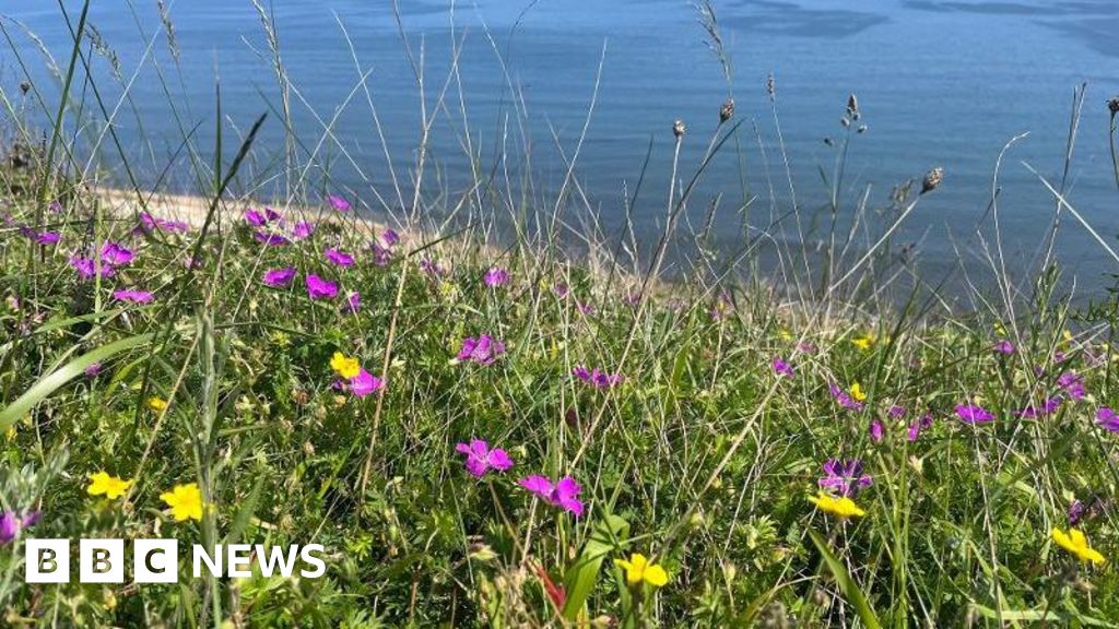 Durham Restores Globally Unique Coastal Grasslands