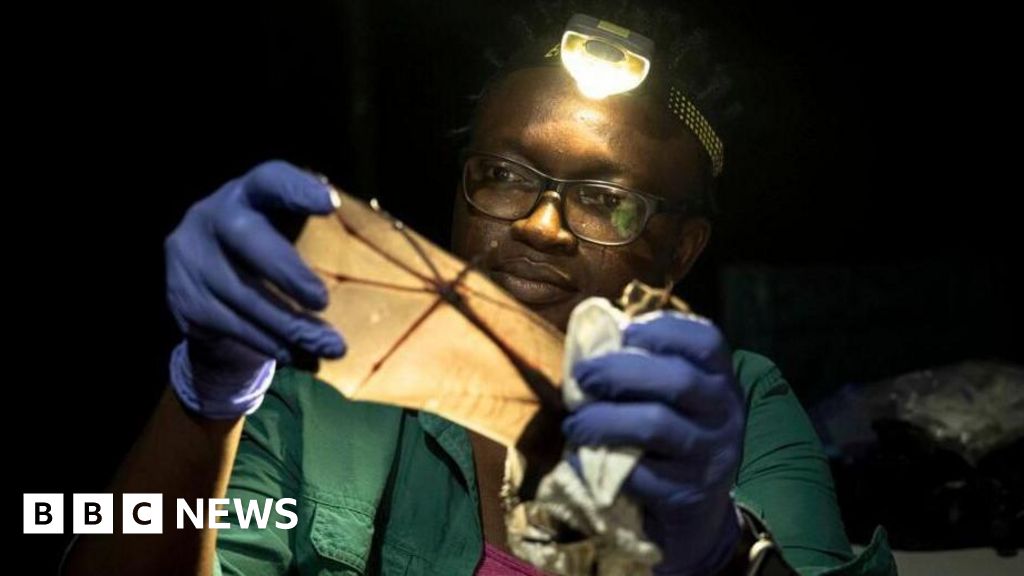 Nigerian Scientist Wins Global Prize Saving Shunned Bats