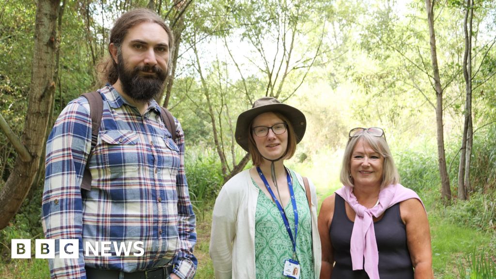 Coventry Nature Park Gets Boardwalk and Wildlife Habitats