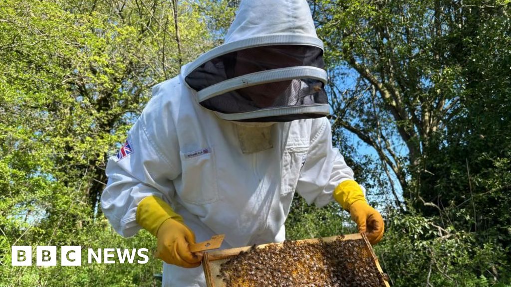 Teen Credits Beekeeping for Return to School After 4 Years