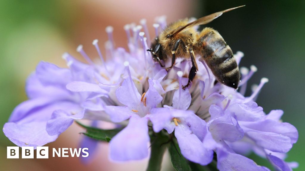 Council Saves 2.5 Acres of Riverside Land for Wildlife