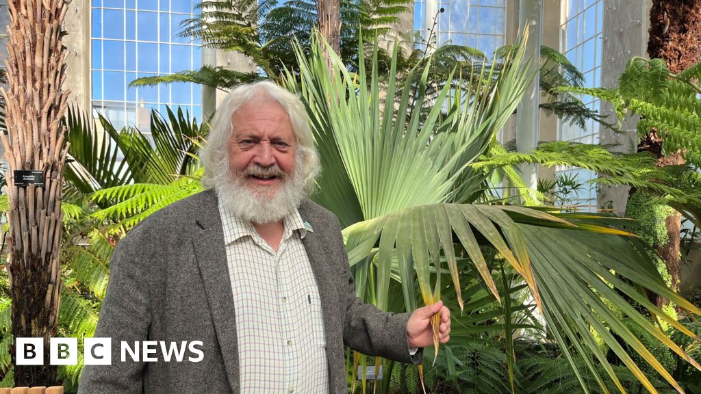 Edinburgh's 19th Century Palm Houses Reopen After 6 Years