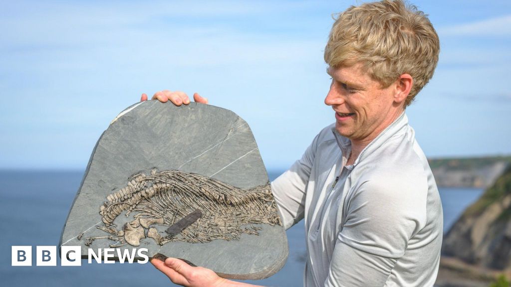 Avalanche Survivor Finds Rare 'Sea Dragon' Fossil in Wales