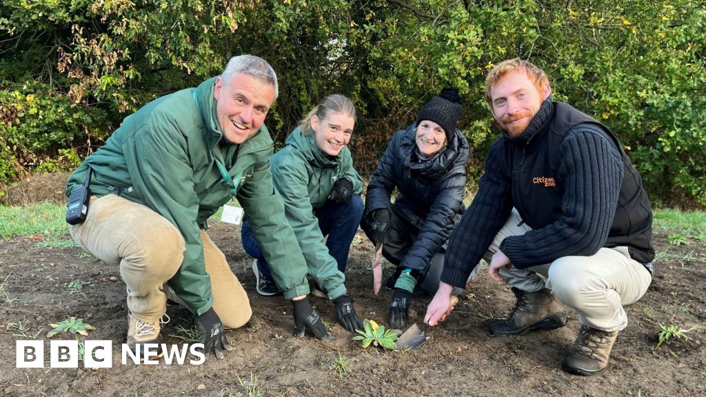 London Volunteers Grow 1,000 Rare Plants to Save Species