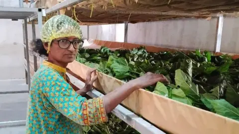 India's Silk Farms Get AI Upgrade, Yields Soar - Image 2