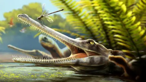 Ancient Crocodile With Needle Teeth Found in Morocco - Image 2