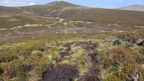 Lake District Restores 1,077 Acres of Peatland - Image 2