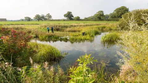 Classrooms Welcome Eels to Save Critically Endangered Species - Image 5