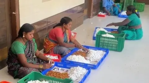 India's Silk Farms Get AI Upgrade, Yields Soar - Image 4
