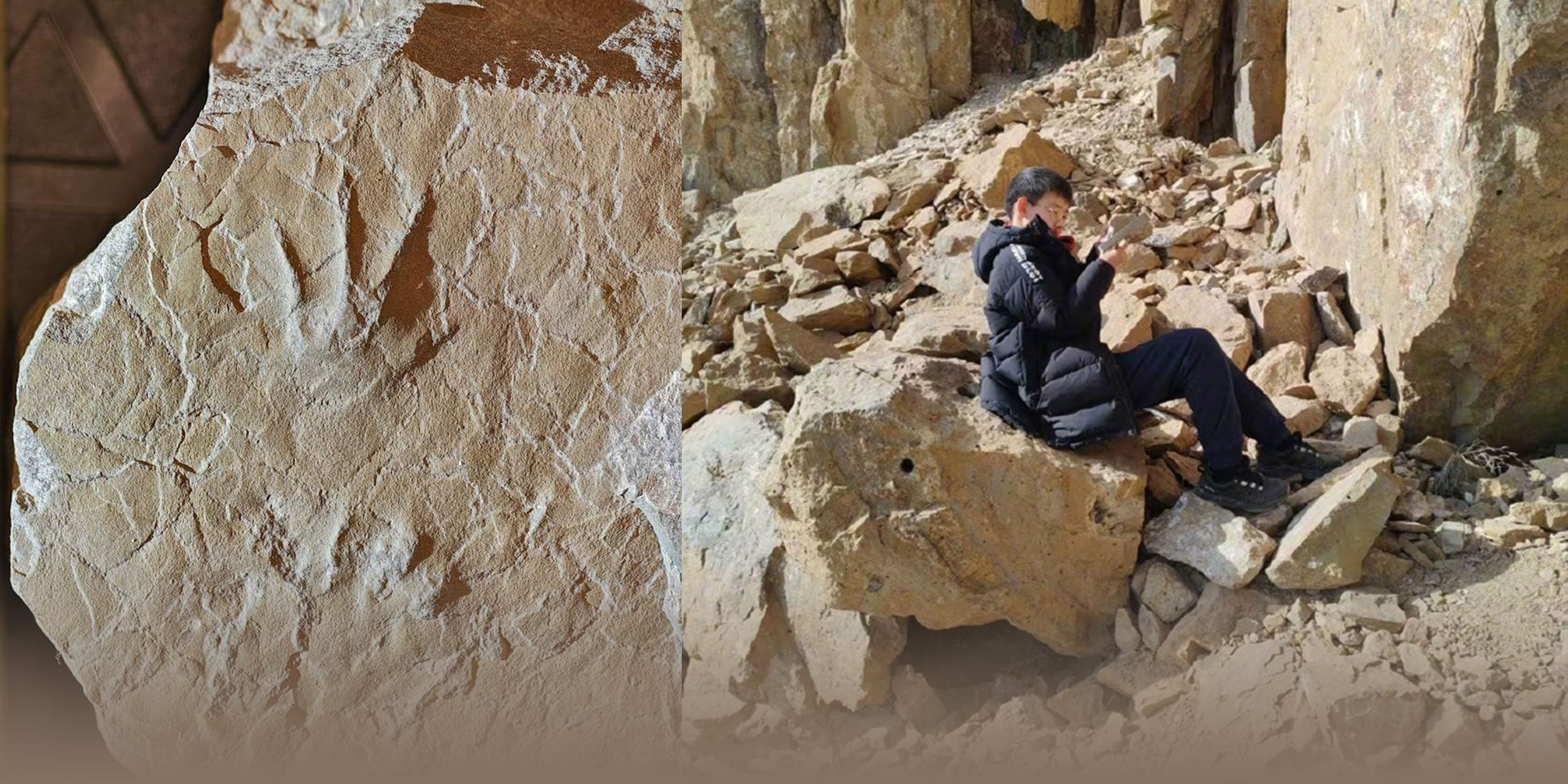 12-Year-Old Discovers Asia's First Jurassic Amphibian Print