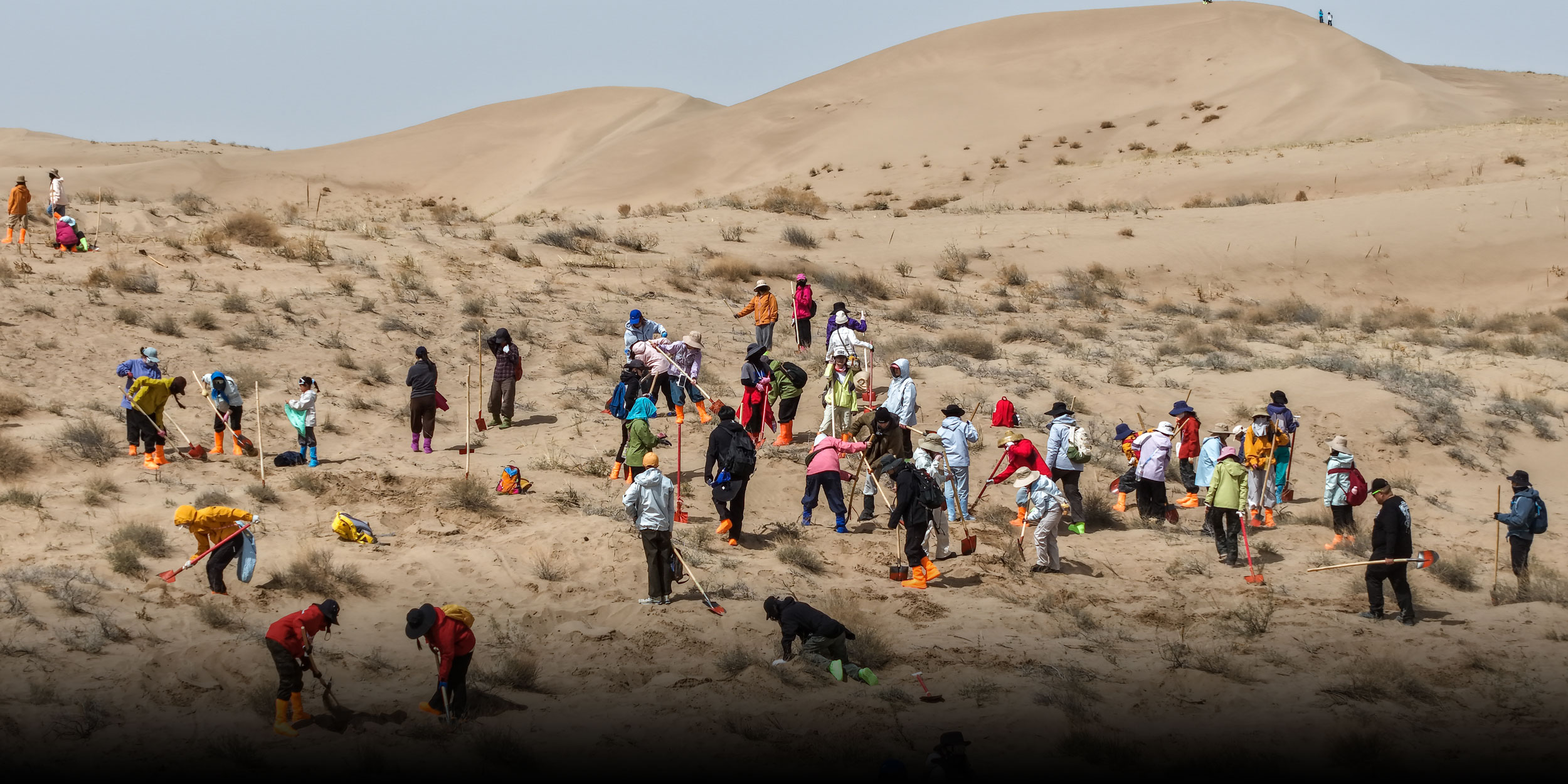 30,000 Volunteers Plant Trees to Save Desert Town