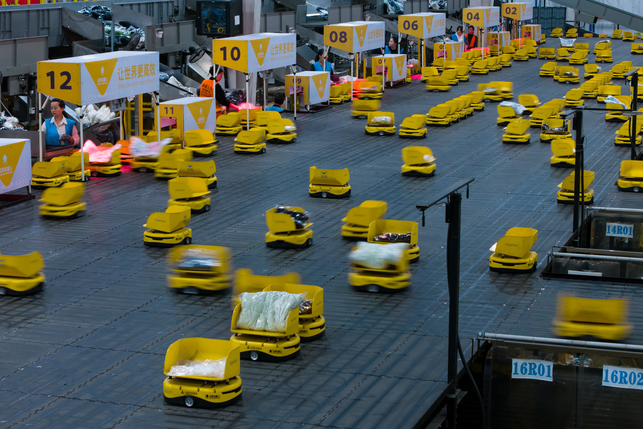 China Delivers $2 Flowers 2,000 km in 24 Hours - Image 4