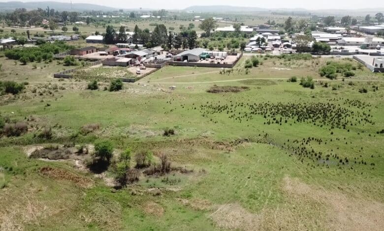South Africa Builds Wildlife Rescue as Rural Infrastructure - Image 2
