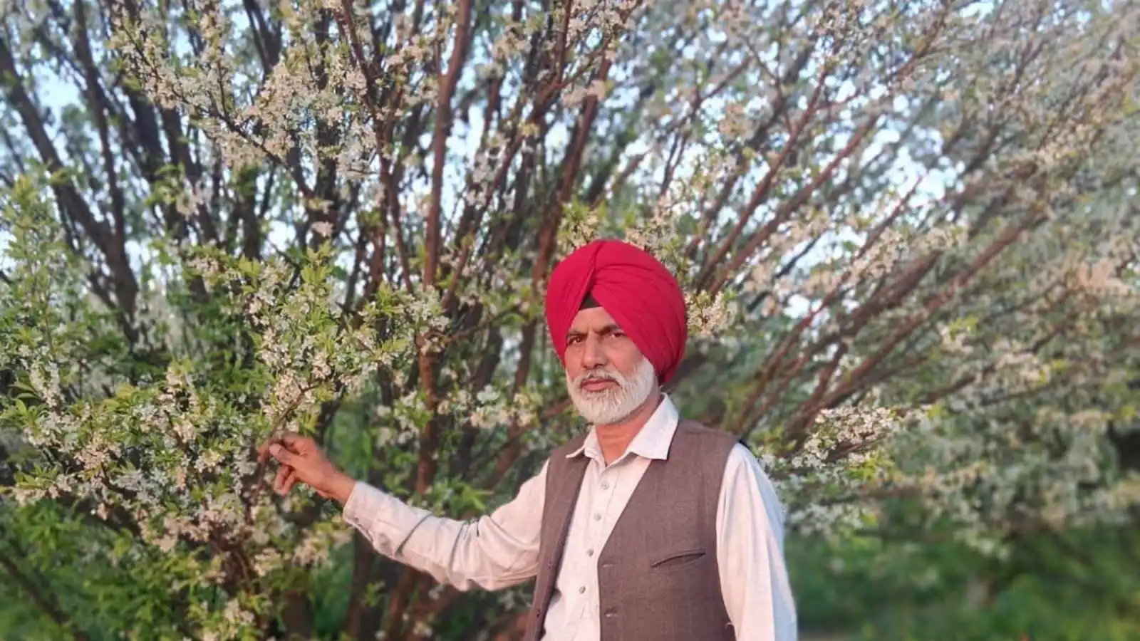 Punjab Farmer Triples Income, Grows 40 Crops Organically
