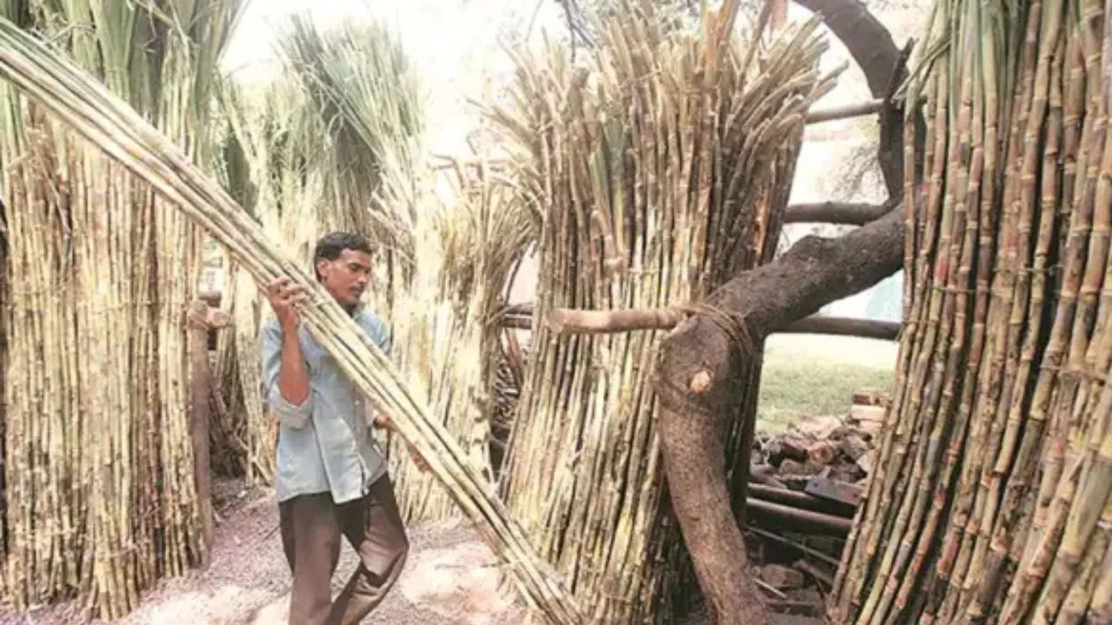 Gujarat Farmers Win Back Control of Historic Sugar Co-op