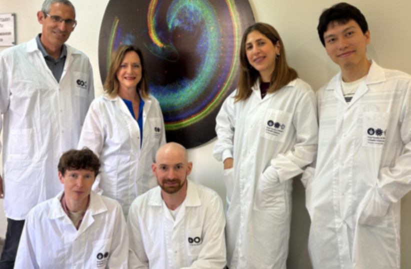 Israeli Scientists Find Way to Reverse Hearing Loss - Image 2