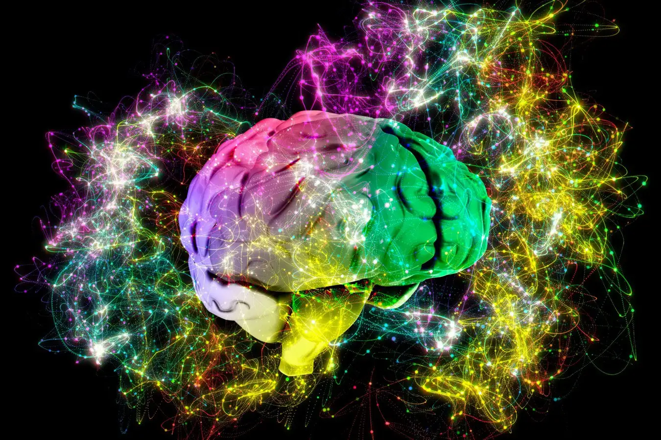 Expert: Anxiety Is Trying to Help You, Not Harm You - Image 4