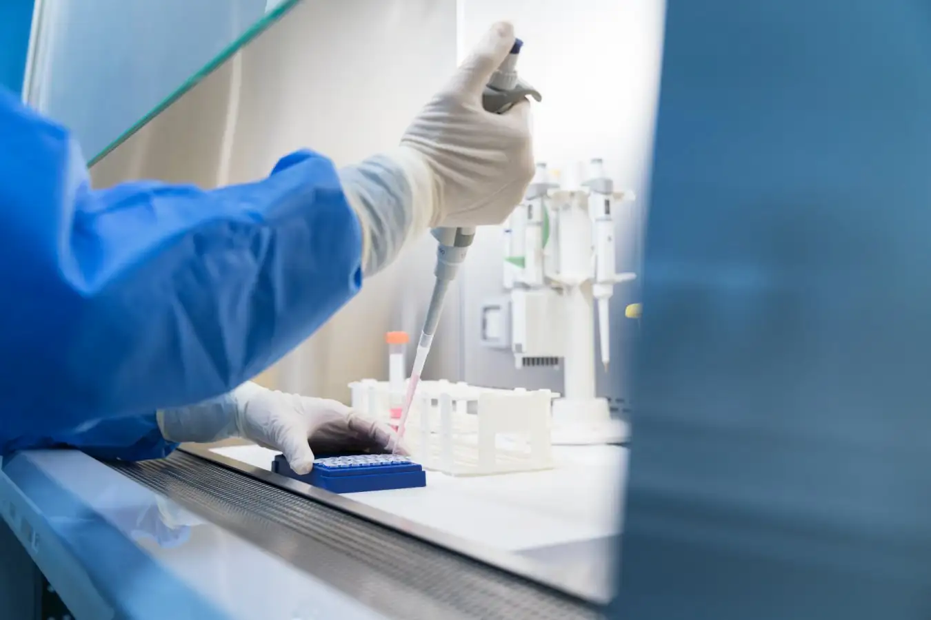 Denmark Beat Smallpox in 7 Years With 1800s Vaccine Push - Image 5