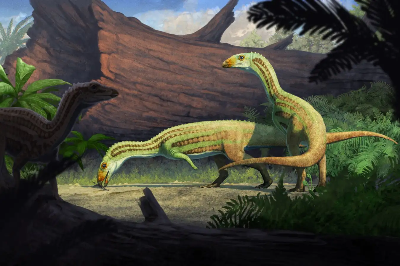 Ancient Reptile Walked on 4 Legs, Then Stood Up on 2