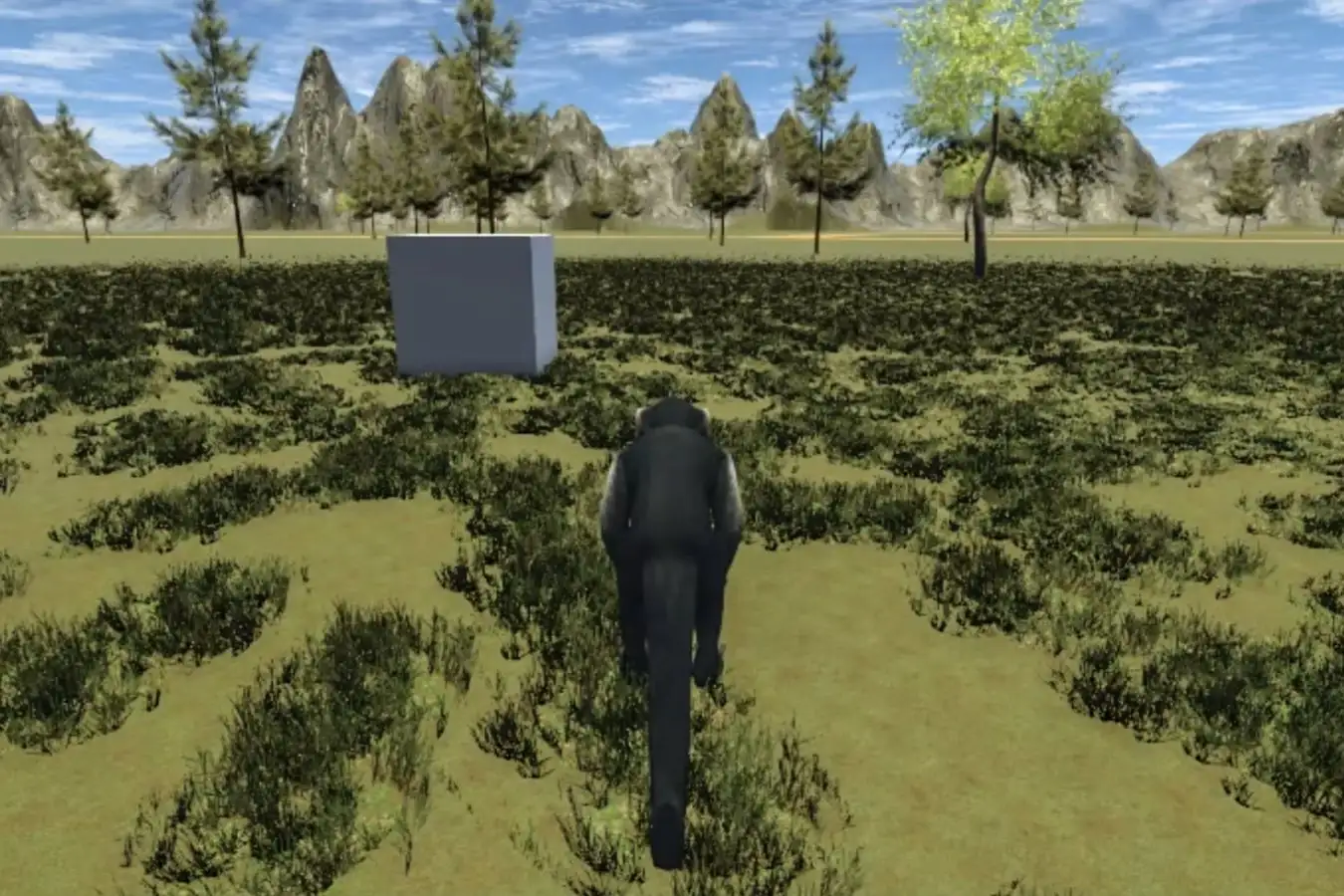 Rhesus macaque monkey wearing brain-computer interface headset viewing virtual reality environment on monitor