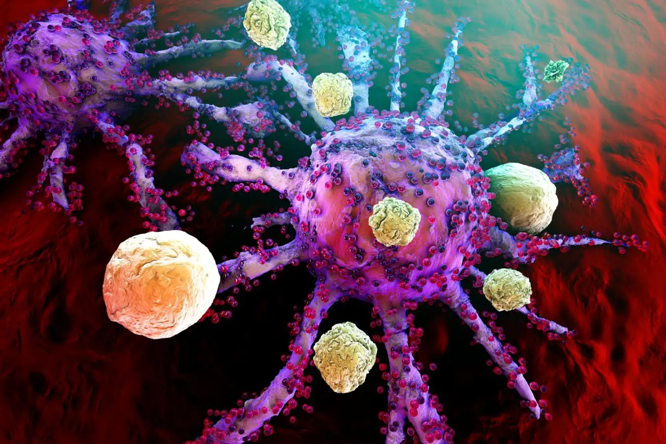 New CAR T-Cell Treatment Could Cure Autoimmune Diseases