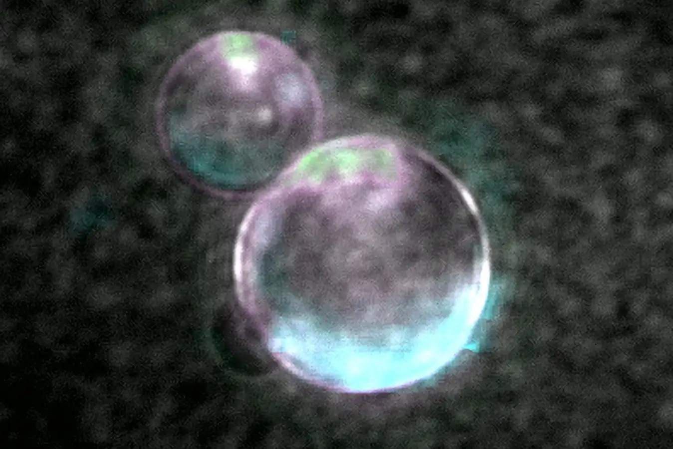 Scientists Build Cell From Scratch That Copies and Divides