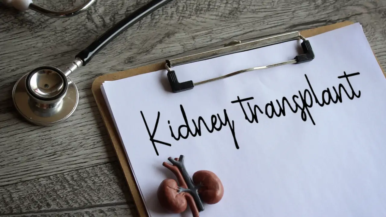 India Expands Kidney Transplants With Blood Type Breakthrough - Image 4