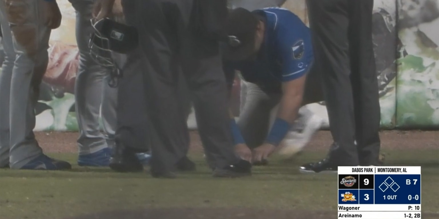 Baseball Gets Stuck in Grass During Minor League Game