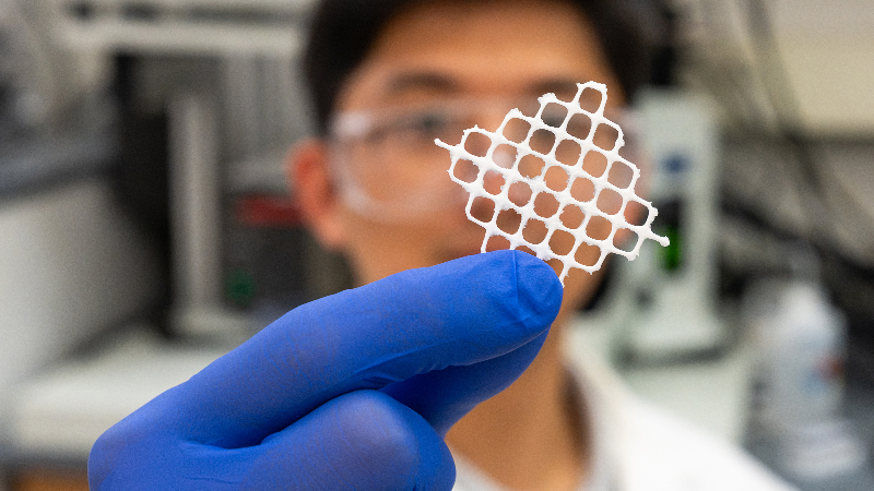 Fuzzy mesh filter resembling underwater seaweed designed to capture microplastics from flowing water