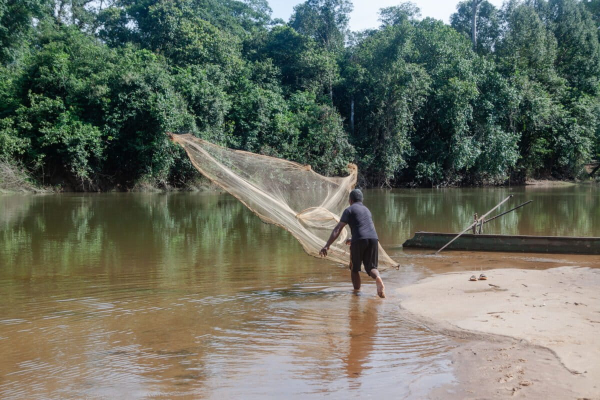 Peruvian Women Transform Puma Hunters Into Protectors - Image 5