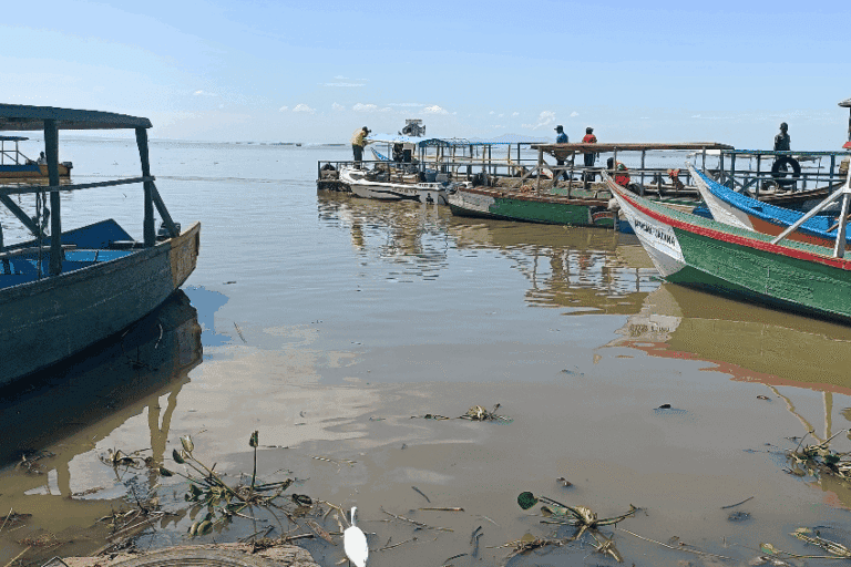 Kenya Youth Revive Lake Victoria Wetland for Rare Birds - Image 3