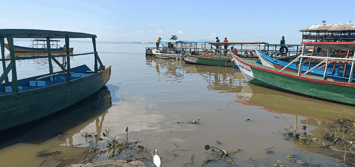 Kenya Youth Revive Lake Victoria Wetland for Rare Birds