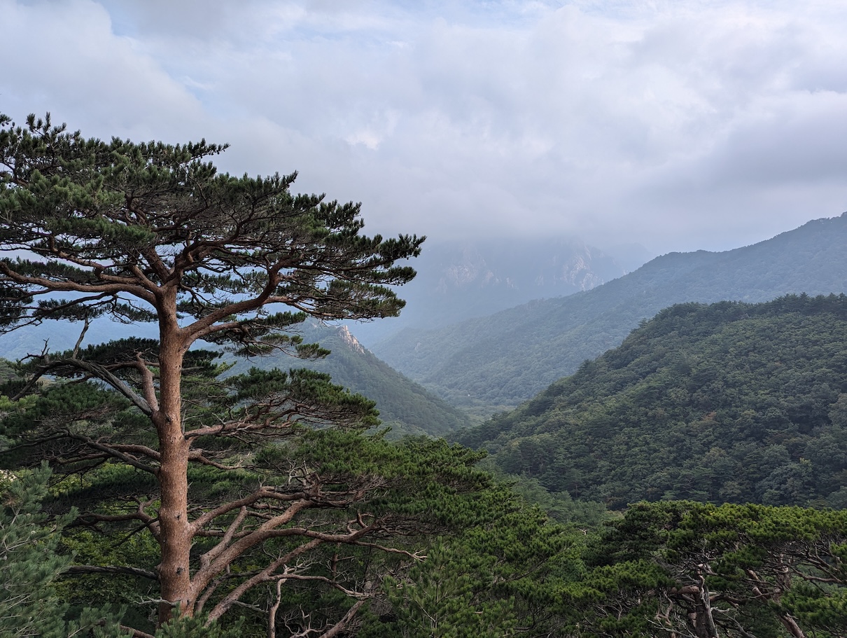Young Conservationists Build Hope Amid Climate Crisis - Image 3
