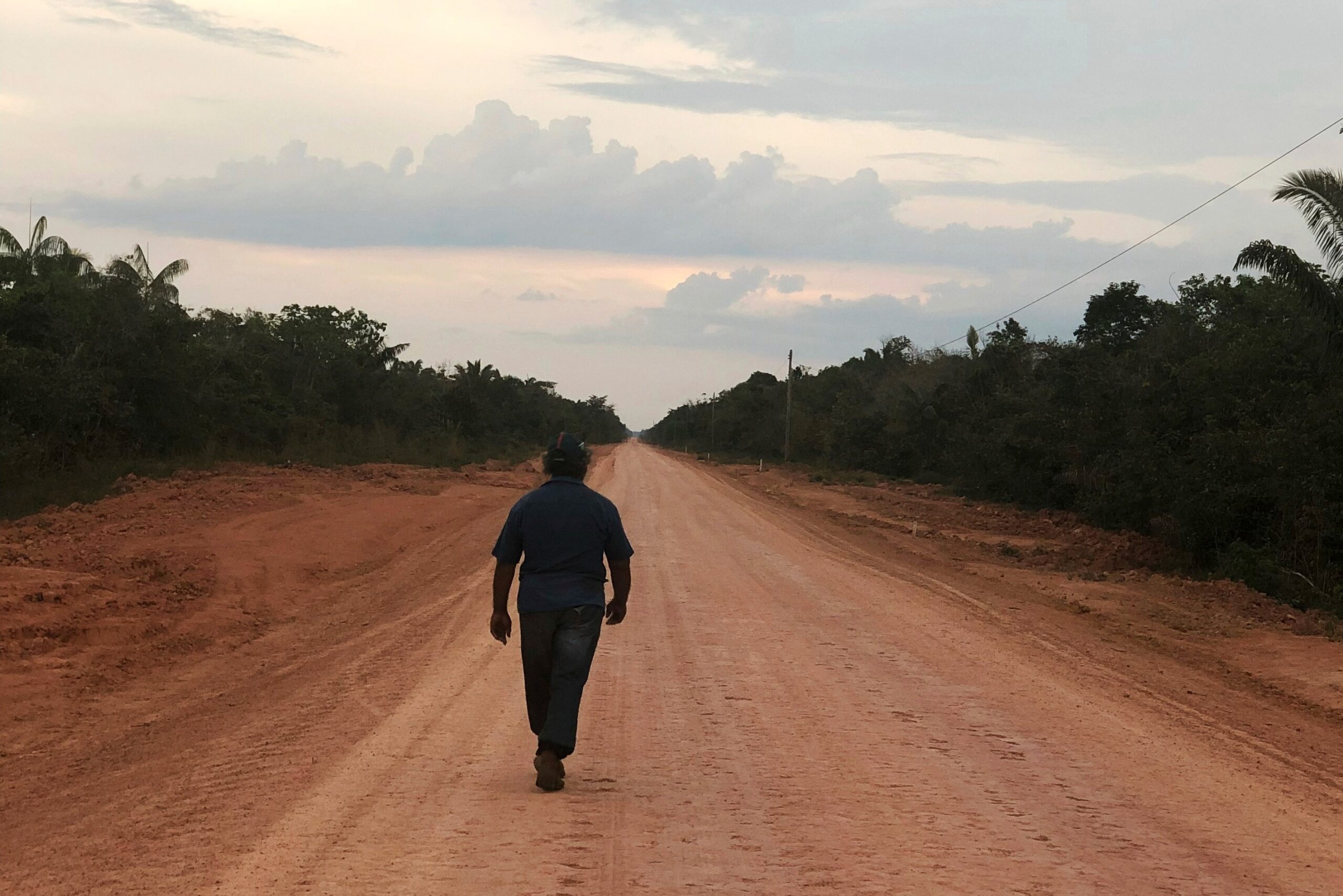 Brazil Invests $75M in Amazon Highway with Green Protections