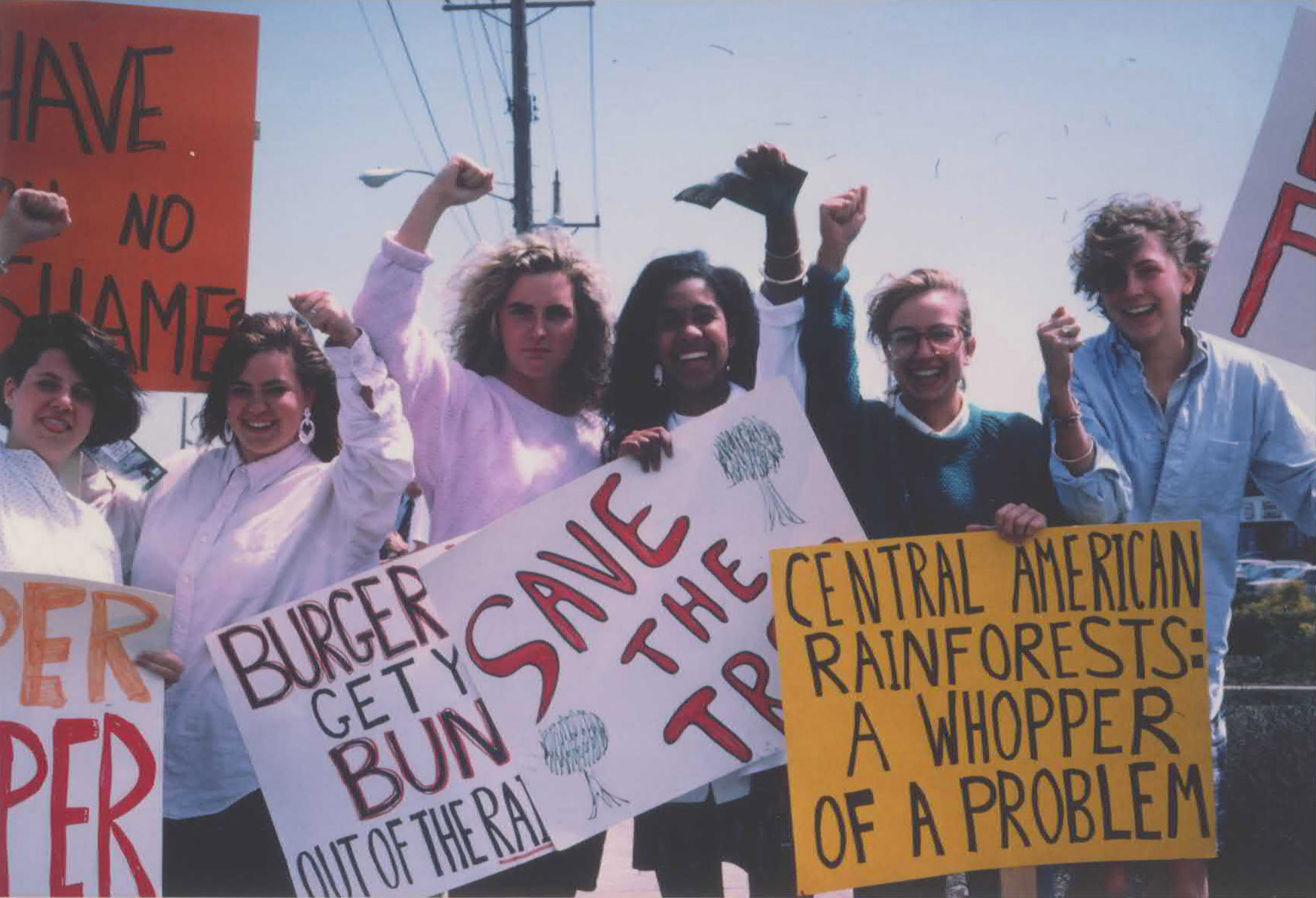 Small Activist Group Changed How Big Corporations View Forests