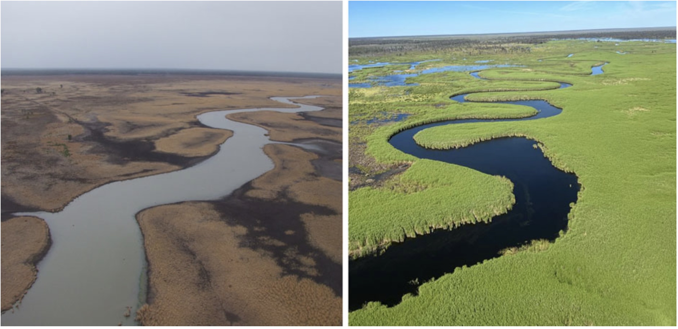 Indigenous Group Buys 81,000-Acre Wetland in Australia