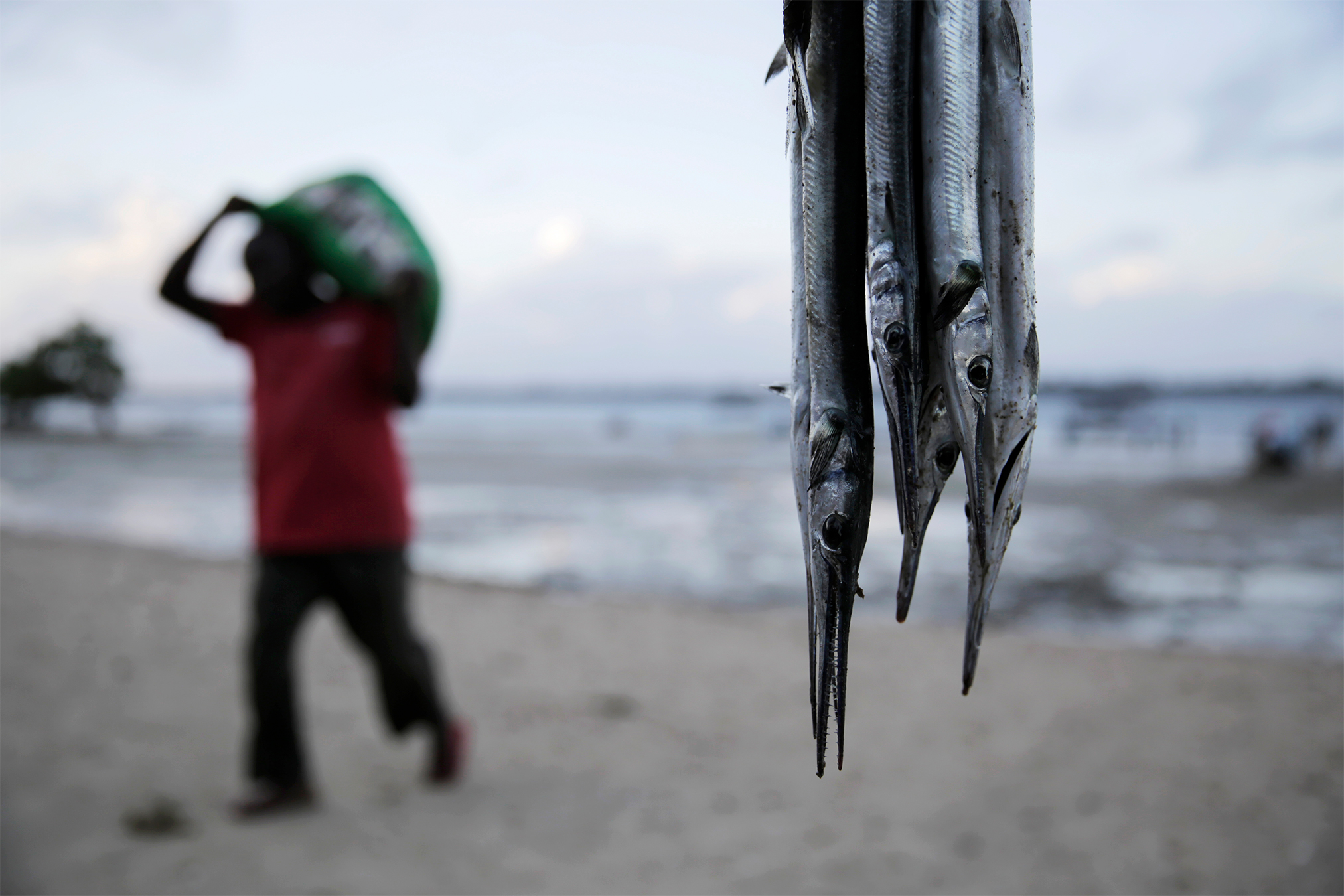 Kenyan fisher Mohamed Mwazigona sits beside fishing boat equipped with solar-powered tracker on coastal beach