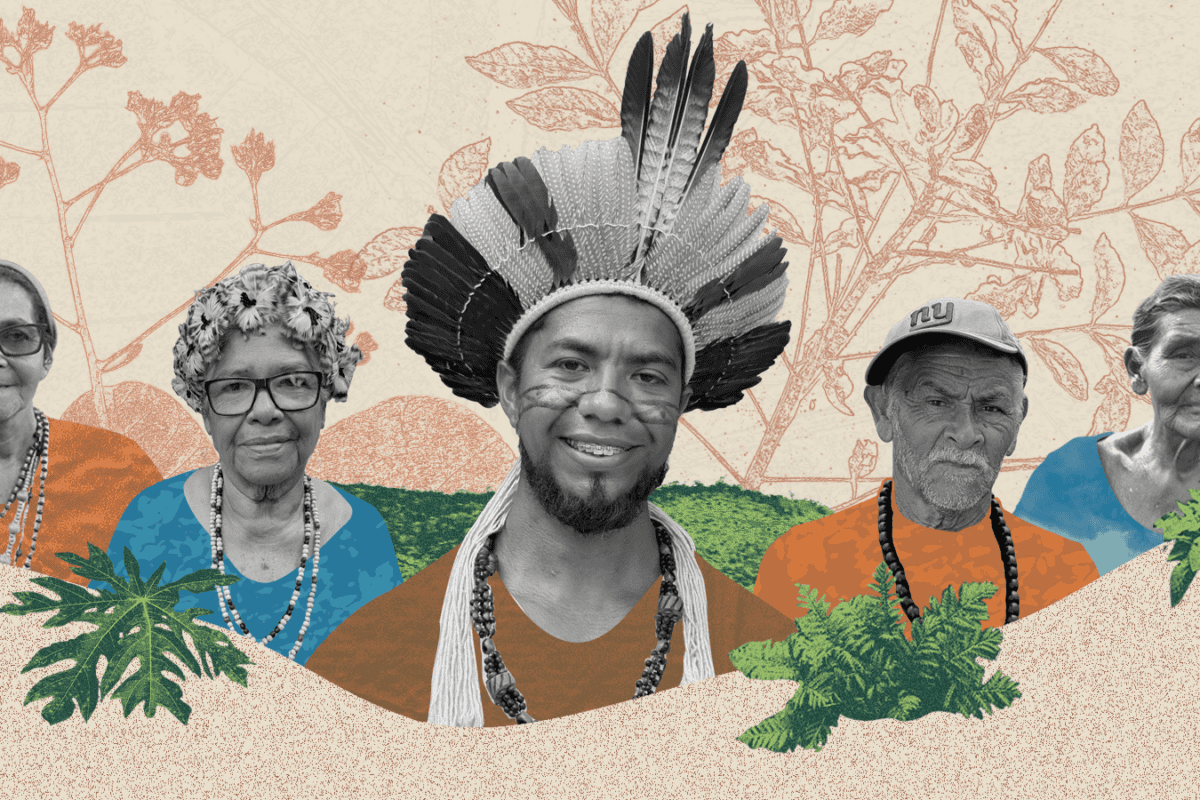 World's First Indigenous Ethnobotanist Saves His People's Healing Knowledge