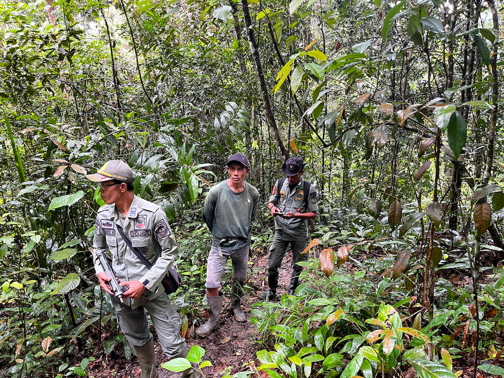 8 Rangers Protect 148,000 Acres of Tiger Forest in Sumatra
