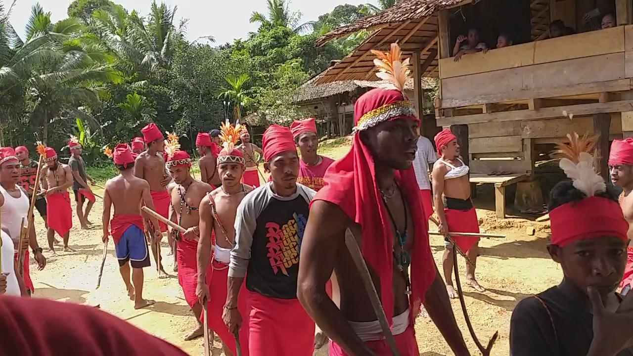 Indonesia Village Saves Rare Birds, Keeps Sacred Ritual
