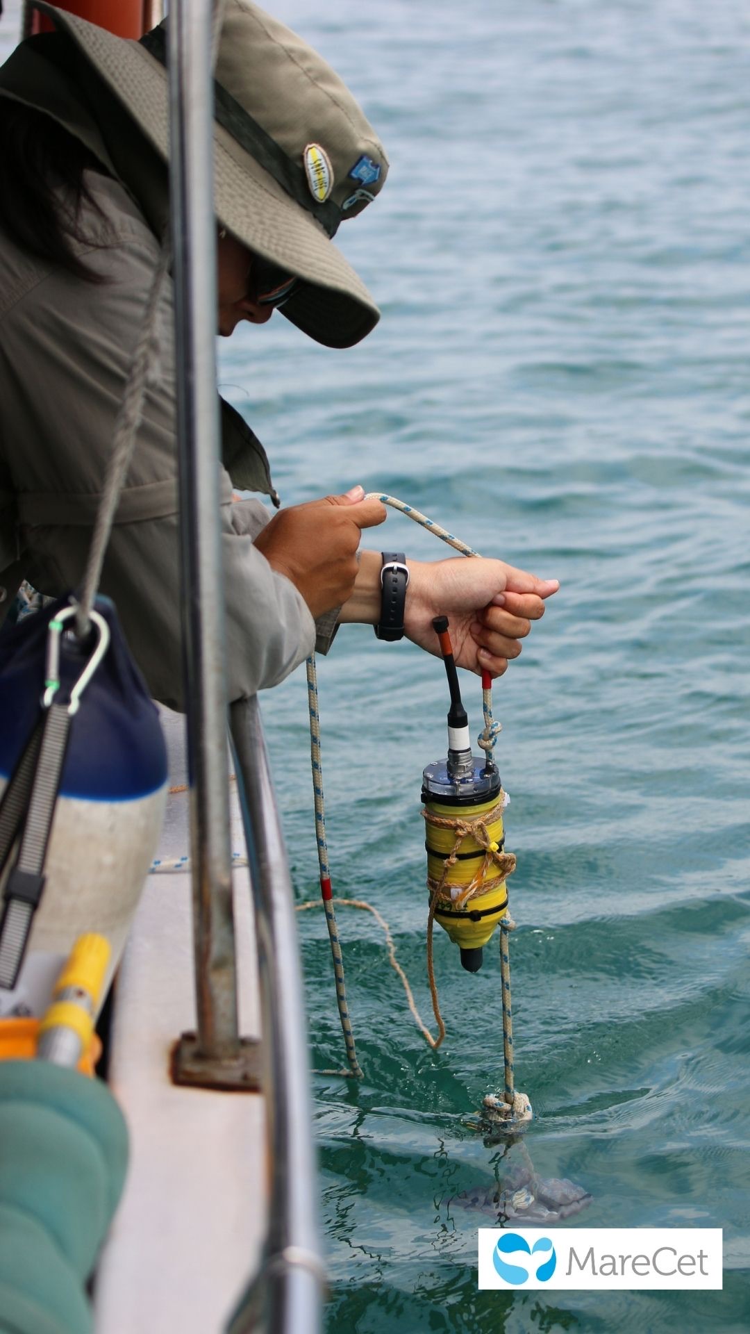 Malaysian Scientist Listens to Dolphins to Save Them - Image 4